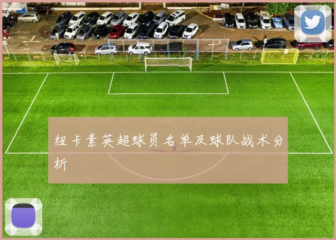 纽卡素英超球员名单及球队战术分析