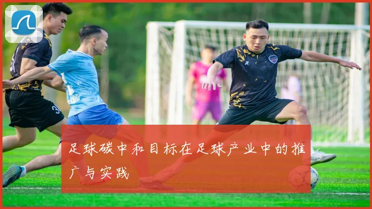 足球碳中和目标在足球产业中的推广与实践