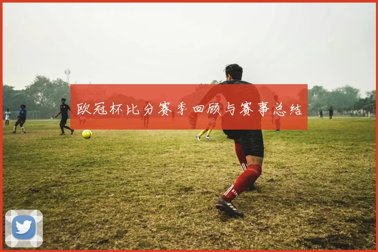 欧冠杯比分赛季回顾与赛事总结
