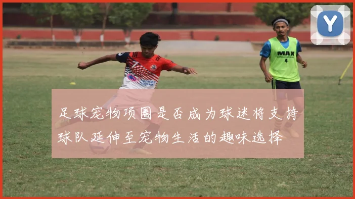 足球宠物项圈是否成为球迷将支持球队延伸至宠物生活的趣味选择