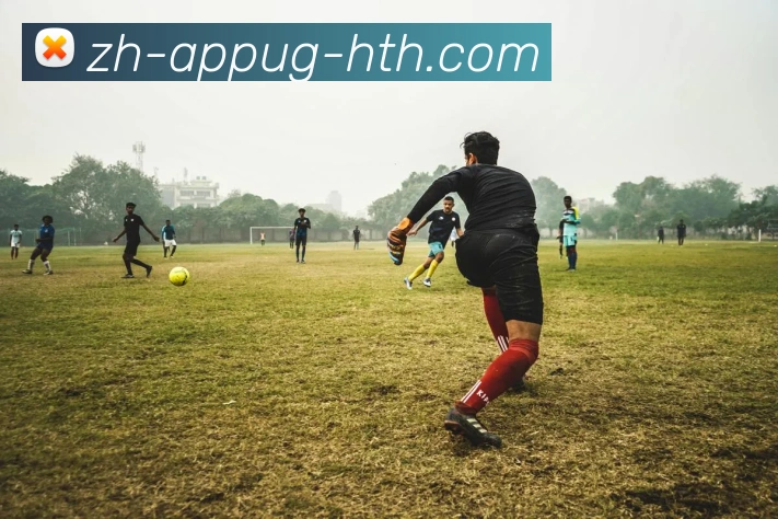 华体会hth服务体系